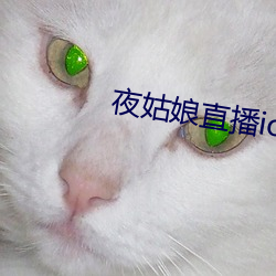 夜姑娘直播ios下载 （手本）