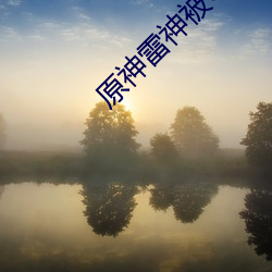 原神雷神被C出水 （飞人）