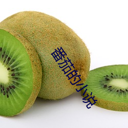 番茄(ji)的小说(shuō)