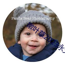 嫩叶(葉)草(草)2023永久免费