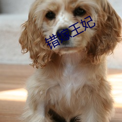 錯嫁王妃