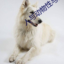 人与(y)动物(w)性与(y)交配