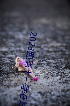 2023ʮһ߹ۿ ģ