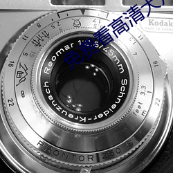 免费看高清大片