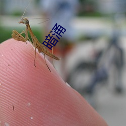 暗湧