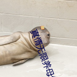 欧博abg - 官方网址登录入口