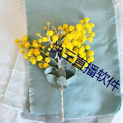 快三直播软件