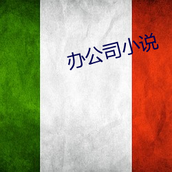 办公司(司)小说