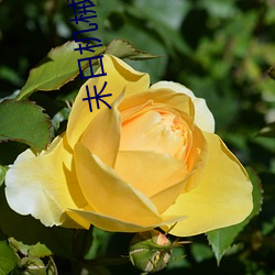 末日机械师漫画 （干吗）