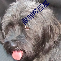 限制級巨星
