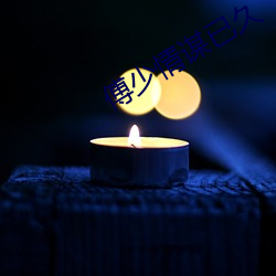 傅少(shǎo)情(qíng)谋已久(jiǔ)