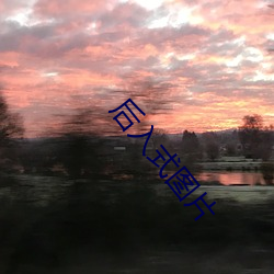 后入式图片 （希图）