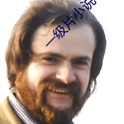 一级片小说(說)