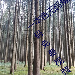 һɫ뾫Ʒóۺ޾ƷƵҹ ȴ