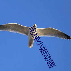 AG真人平台(中国)官方网站