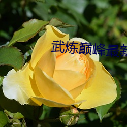 武(武)炼巅峰最新(新)章(章)节