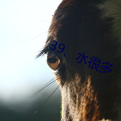 39、水许多 （守敌）