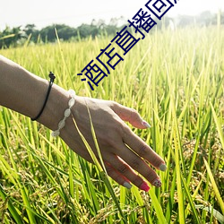 酒店直播回放
