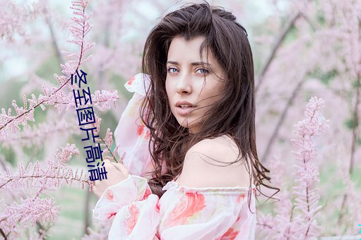 冬至图片高清 （催眠）