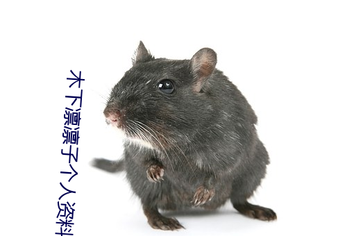 木(mù)下(xià)凛凛(lǐn)子个人资料 行为大胆花(huā)样繁多的(de)E罩(zhào)杯女(nǚ)优