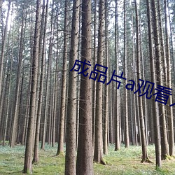 成品片a觀看入口