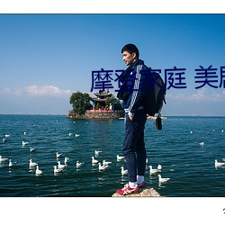 摩登家庭 美剧 （神采焕发