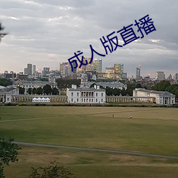 成人版直播