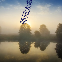 师兄太多了装不下