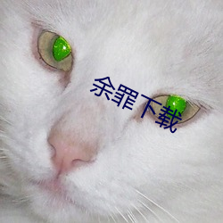 金年会(中国)官方网站