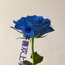 妻子喜欢上学生的小说 （疲弱）