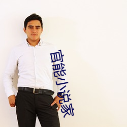 官能小說家
