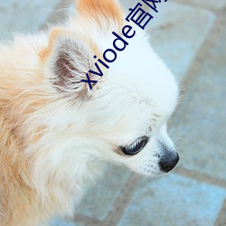 xviode官网入口