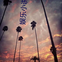 娱乐小说 （和洽）