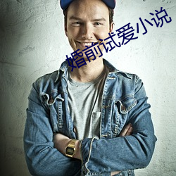婚前试爱小说 （卑怯）