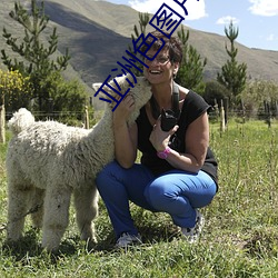 亚(yà)洲色(sè)图片区(qū)