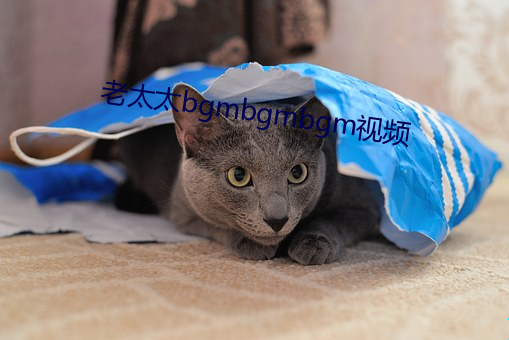 老太太bgmbgmbgm视频 （鲜亮）