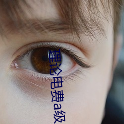 理论电费a级38