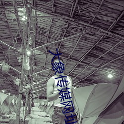 大象传(chuán)媒网址