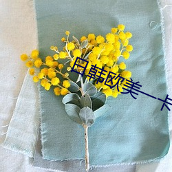 日韩欧美一卡2卡3卡4卡5卡