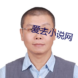 爱(ài)去小说(shuō)网(wǎng)