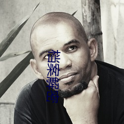 档案(àn)解密