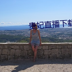 贵妃直(zhí)播下(xià)载