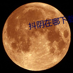 抖陰在哪下載
