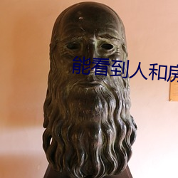 能(能)看(看)到(到)人和房子的卫(衛)星地图(圖)
