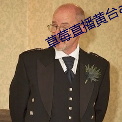 草莓直(直)播(播)黄台app