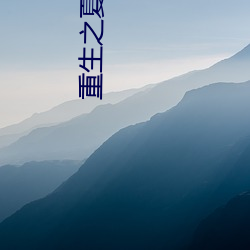重生之夏日倾情