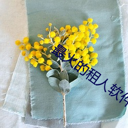 vwinӮ(й) - ٷվ