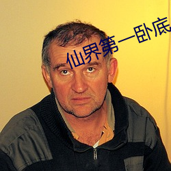 仙界第一臥底