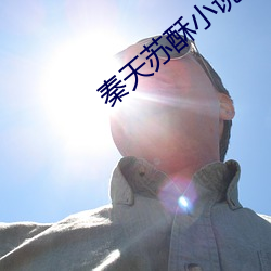 秦天苏酥小说