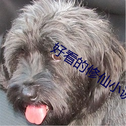 好(好)看的(的)修仙(仙)小说
